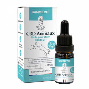 Huile CBD PROTECT+ – 10%