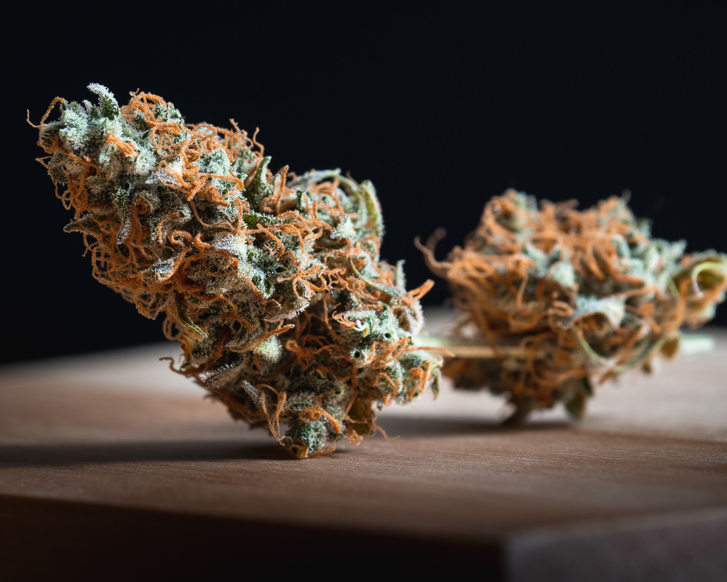 Orange Bud